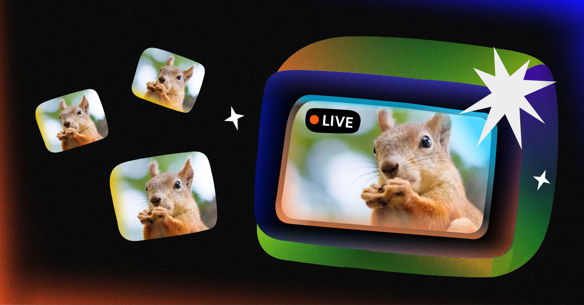 How to Stream Live Video: The Ultimate Beginner’s Guide